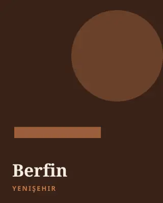 Berfin Yenişehir escort