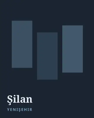 Şilan Yenişehir escort